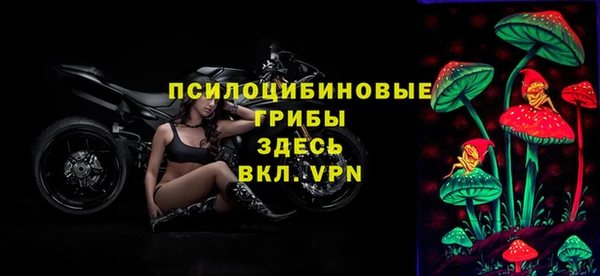 прущие грибы Новокубанск