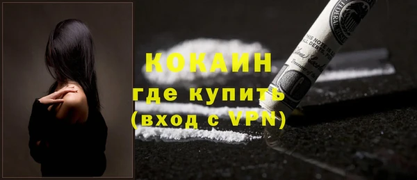 ГАЛЛЮЦИНОГЕННЫЕ ГРИБЫ Новозыбков