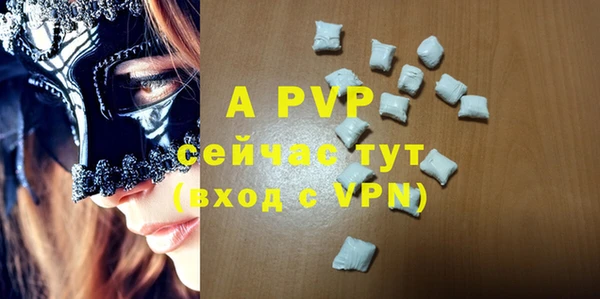 ГАЛЛЮЦИНОГЕННЫЕ ГРИБЫ Новозыбков
