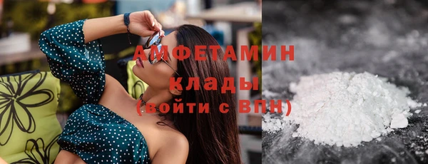 прущие грибы Новокубанск
