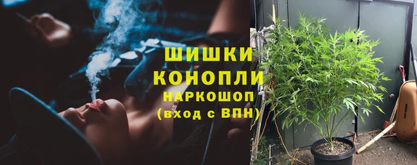 ГАЛЛЮЦИНОГЕННЫЕ ГРИБЫ Новозыбков