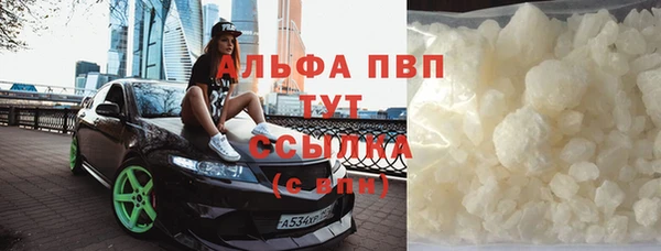 ГАЛЛЮЦИНОГЕННЫЕ ГРИБЫ Новозыбков