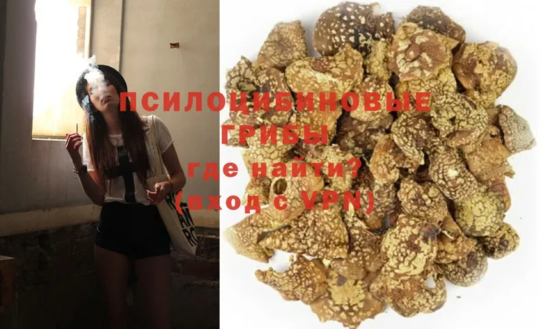 Галлюциногенные грибы MAGIC MUSHROOMS  купить  сайты  Ивдель 