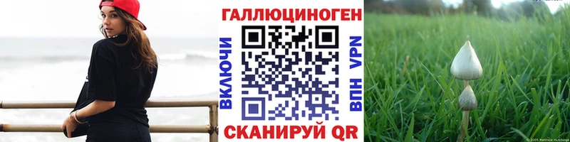 Галлюциногенные грибы Psilocybe  Ивдель 